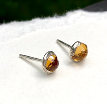 Autumn Vibes Earrings