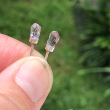 Blackberry Ginger Smash Earrings